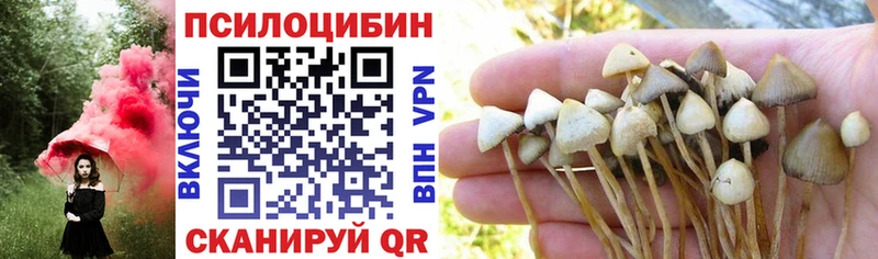 Галлюциногенные грибы мицелий  купить наркоту  Курчатов 